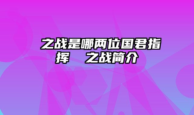 邲之战是哪两位国君指挥 邲之战简介