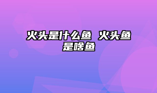 火头是什么鱼 火头鱼是啥鱼