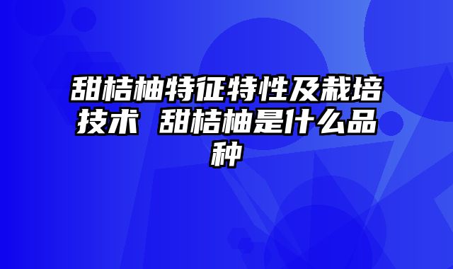 甜桔柚特征特性及栽培技术 甜桔柚是什么品种