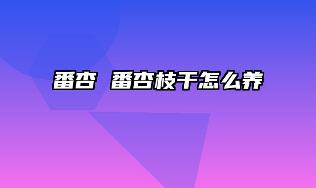 番杏 番杏枝干怎么养
