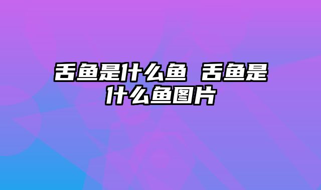 舌鱼是什么鱼 舌鱼是什么鱼图片