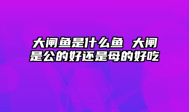 大闸鱼是什么鱼 大闸是公的好还是母的好吃