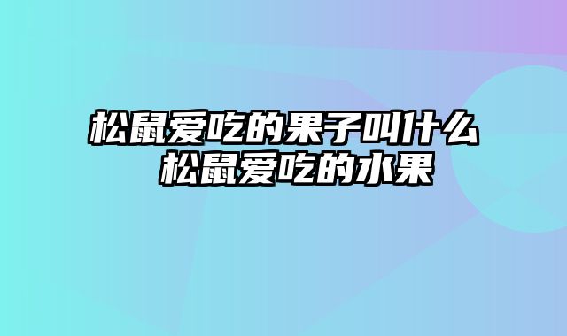 松鼠爱吃的果子叫什么 松鼠爱吃的水果