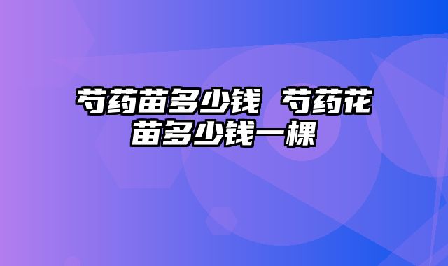 芍药苗多少钱 芍药花苗多少钱一棵