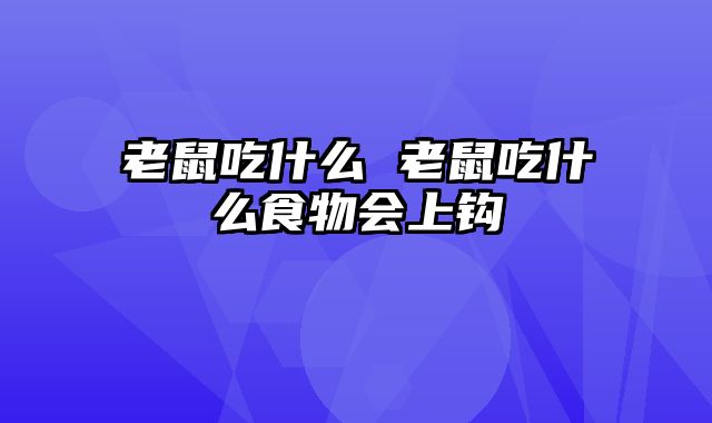 老鼠吃什么 老鼠吃什么食物会上钩