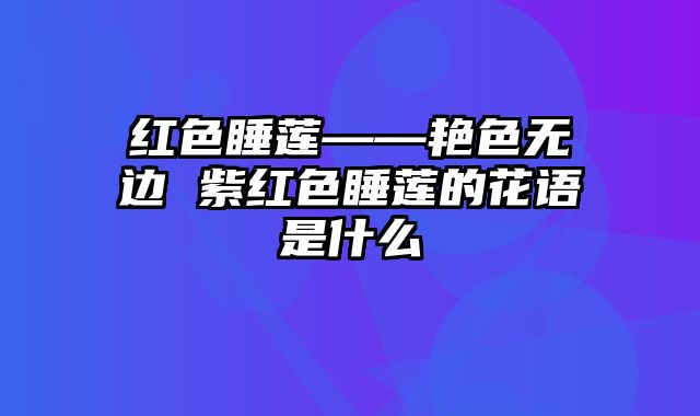 红色睡莲——艳色无边 紫红色睡莲的花语是什么