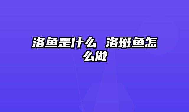 洛鱼是什么 洛斑鱼怎么做