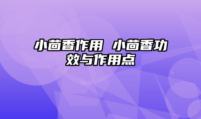 小茴香作用 小茴香功效与作用点