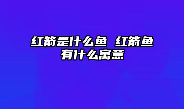 红箭是什么鱼 红箭鱼有什么寓意