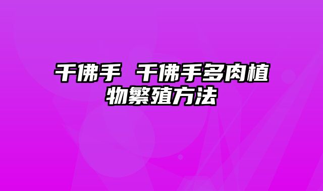 千佛手 千佛手多肉植物繁殖方法