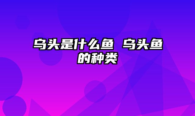 乌头是什么鱼 乌头鱼的种类