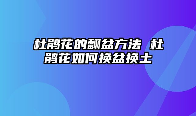 杜鹃花的翻盆方法 杜鹃花如何换盆换土