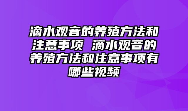 滴水观音的养殖方法和注意事项 滴水观音的养殖方法和注意事项有哪些视频