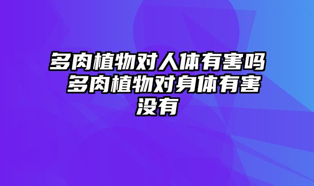 多肉植物对人体有害吗 多肉植物对身体有害没有