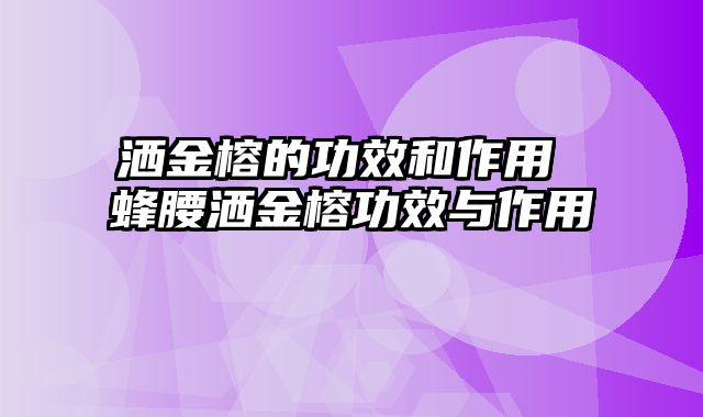 洒金榕的功效和作用 蜂腰洒金榕功效与作用