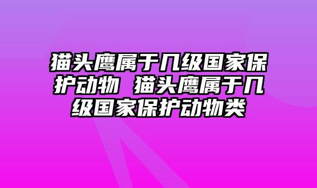 猫头鹰属于几级国家保护动物 猫头鹰属于几级国家保护动物类
