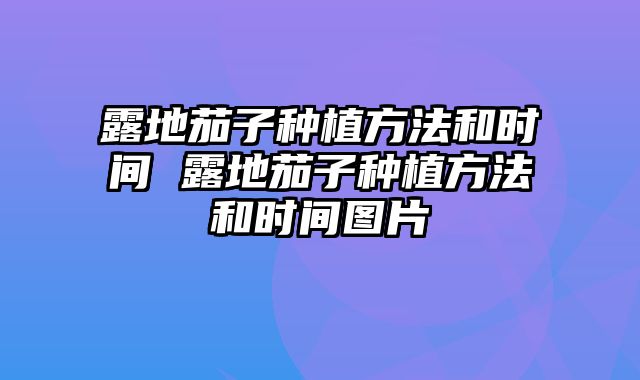 露地茄子种植方法和时间 露地茄子种植方法和时间图片