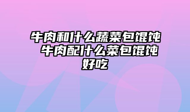牛肉和什么蔬菜包馄饨 牛肉配什么菜包馄饨好吃