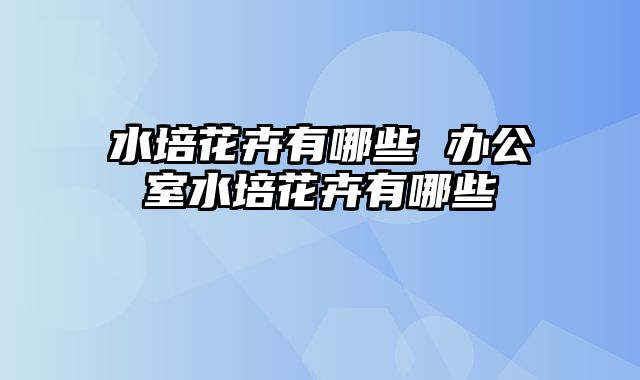 水培花卉有哪些 办公室水培花卉有哪些
