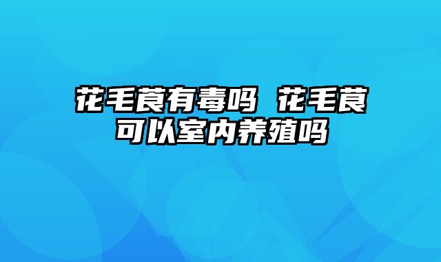 花毛莨有毒吗 花毛茛可以室内养殖吗