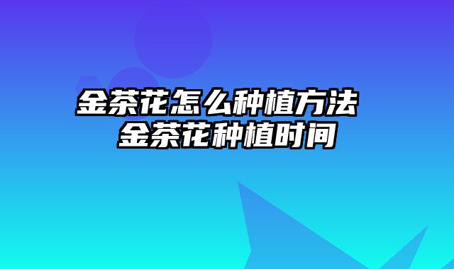 金茶花怎么种植方法 金茶花种植时间