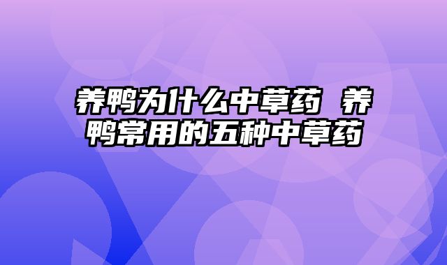 养鸭为什么中草药 养鸭常用的五种中草药