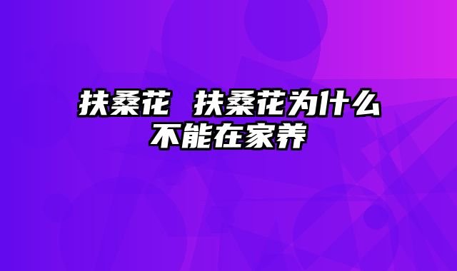 扶桑花 扶桑花为什么不能在家养