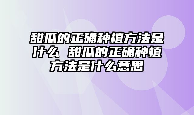 甜瓜的正确种植方法是什么 甜瓜的正确种植方法是什么意思