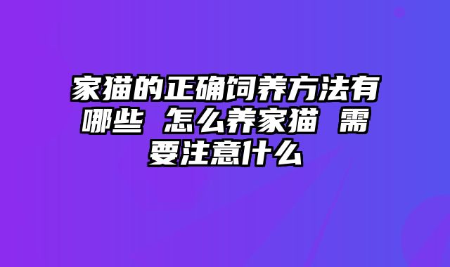 家猫的正确饲养方法有哪些 怎么养家猫 需要注意什么