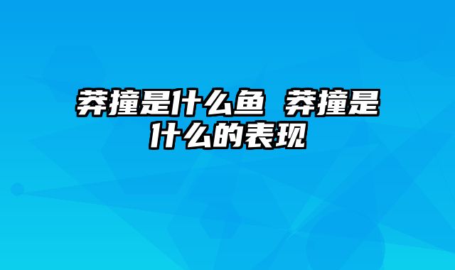 莽撞是什么鱼 莽撞是什么的表现