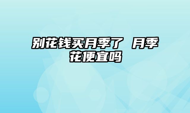 别花钱买月季了 月季花便宜吗