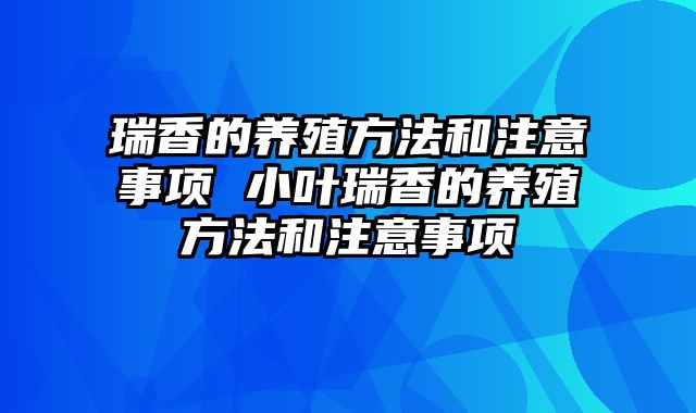 瑞香的养殖方法和注意事项 小叶瑞香的养殖方法和注意事项