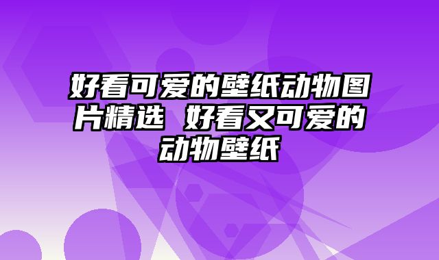 好看可爱的壁纸动物图片精选 好看又可爱的动物壁纸