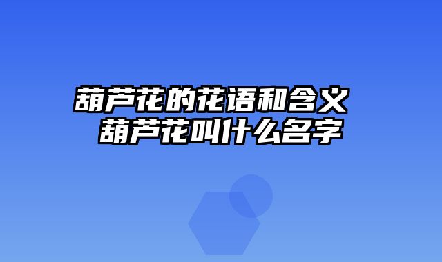 葫芦花的花语和含义 葫芦花叫什么名字