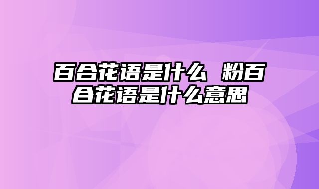 百合花语是什么 粉百合花语是什么意思