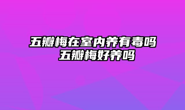 五瓣梅在室内养有毒吗 五瓣梅好养吗