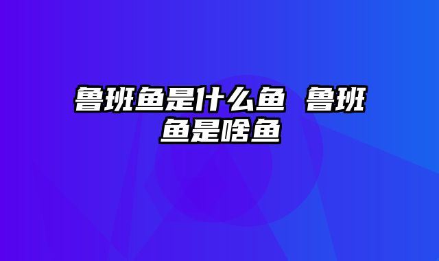 鲁班鱼是什么鱼 鲁班鱼是啥鱼