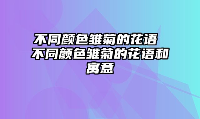 不同颜色雏菊的花语 不同颜色雏菊的花语和寓意
