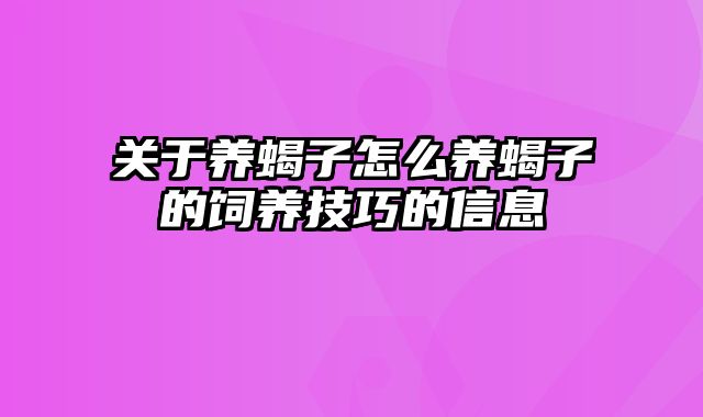 关于养蝎子怎么养蝎子的饲养技巧的信息