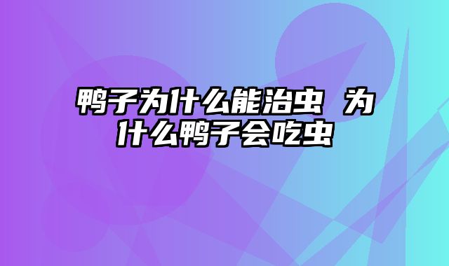 鸭子为什么能治虫 为什么鸭子会吃虫