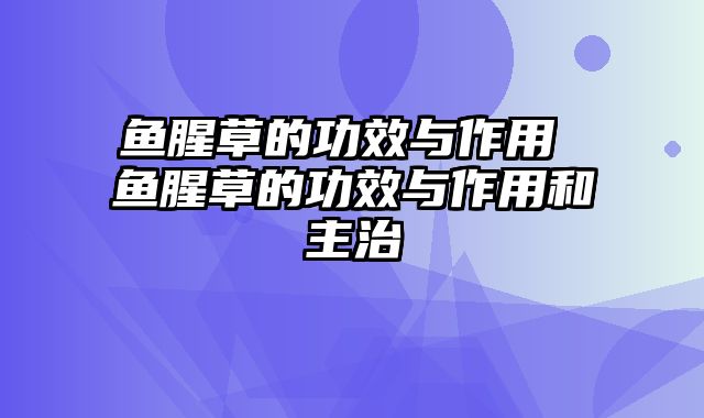 鱼腥草的功效与作用 鱼腥草的功效与作用和主治