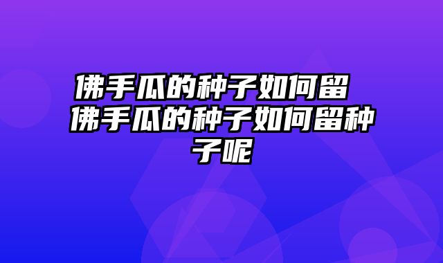 佛手瓜的种子如何留 佛手瓜的种子如何留种子呢