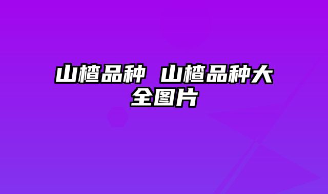 山楂品种 山楂品种大全图片