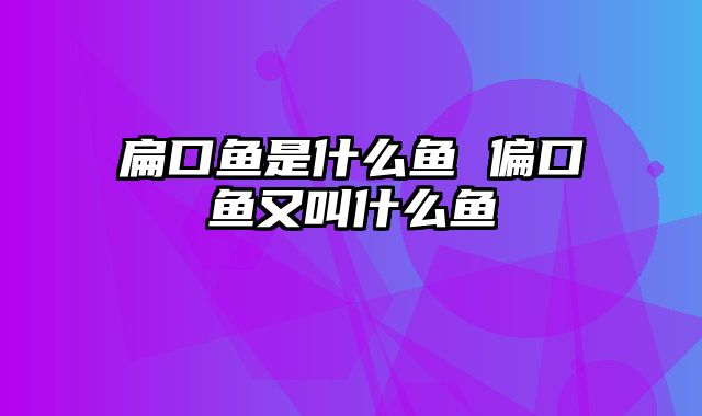 扁口鱼是什么鱼 偏口鱼又叫什么鱼