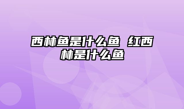 西林鱼是什么鱼 红西林是什么鱼