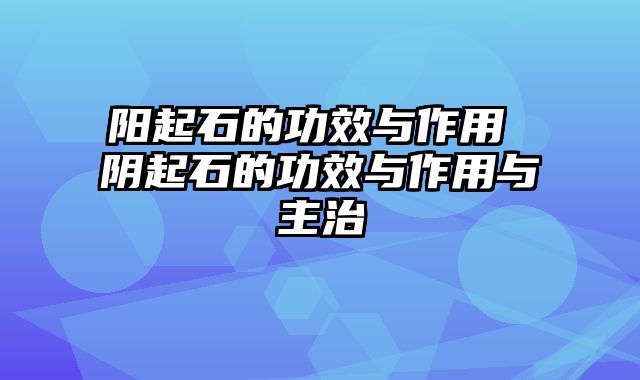阳起石的功效与作用 阴起石的功效与作用与主治