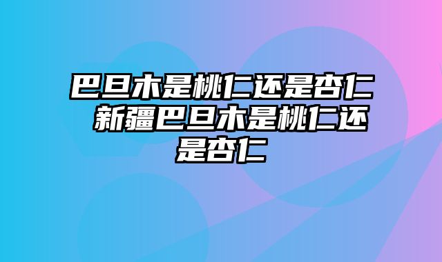 巴旦木是桃仁还是杏仁 新疆巴旦木是桃仁还是杏仁
