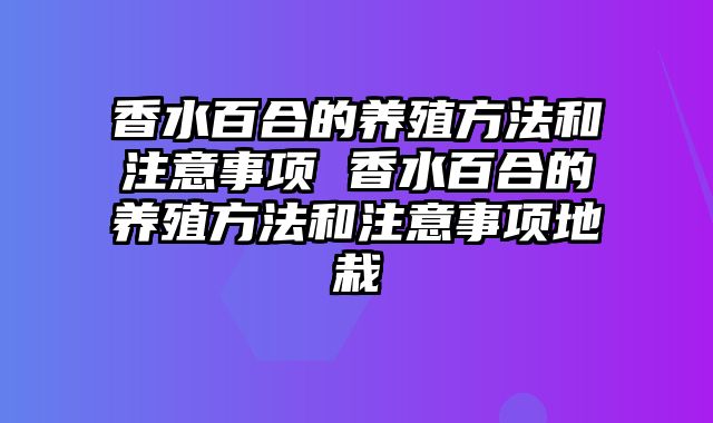 香水百合的养殖方法和注意事项 香水百合的养殖方法和注意事项地栽