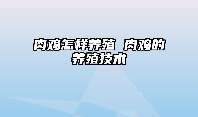 肉鸡怎样养殖 肉鸡的养殖技术