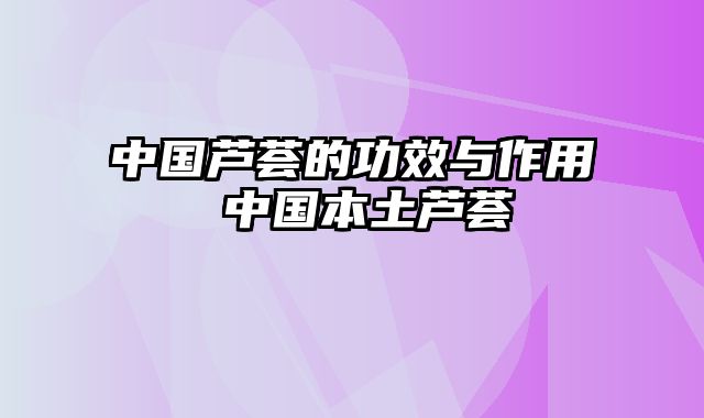 中国芦荟的功效与作用 中国本土芦荟